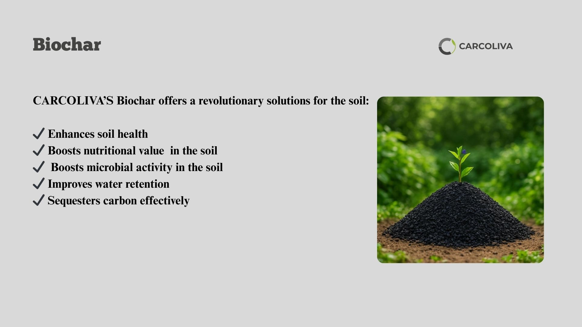 Biochar