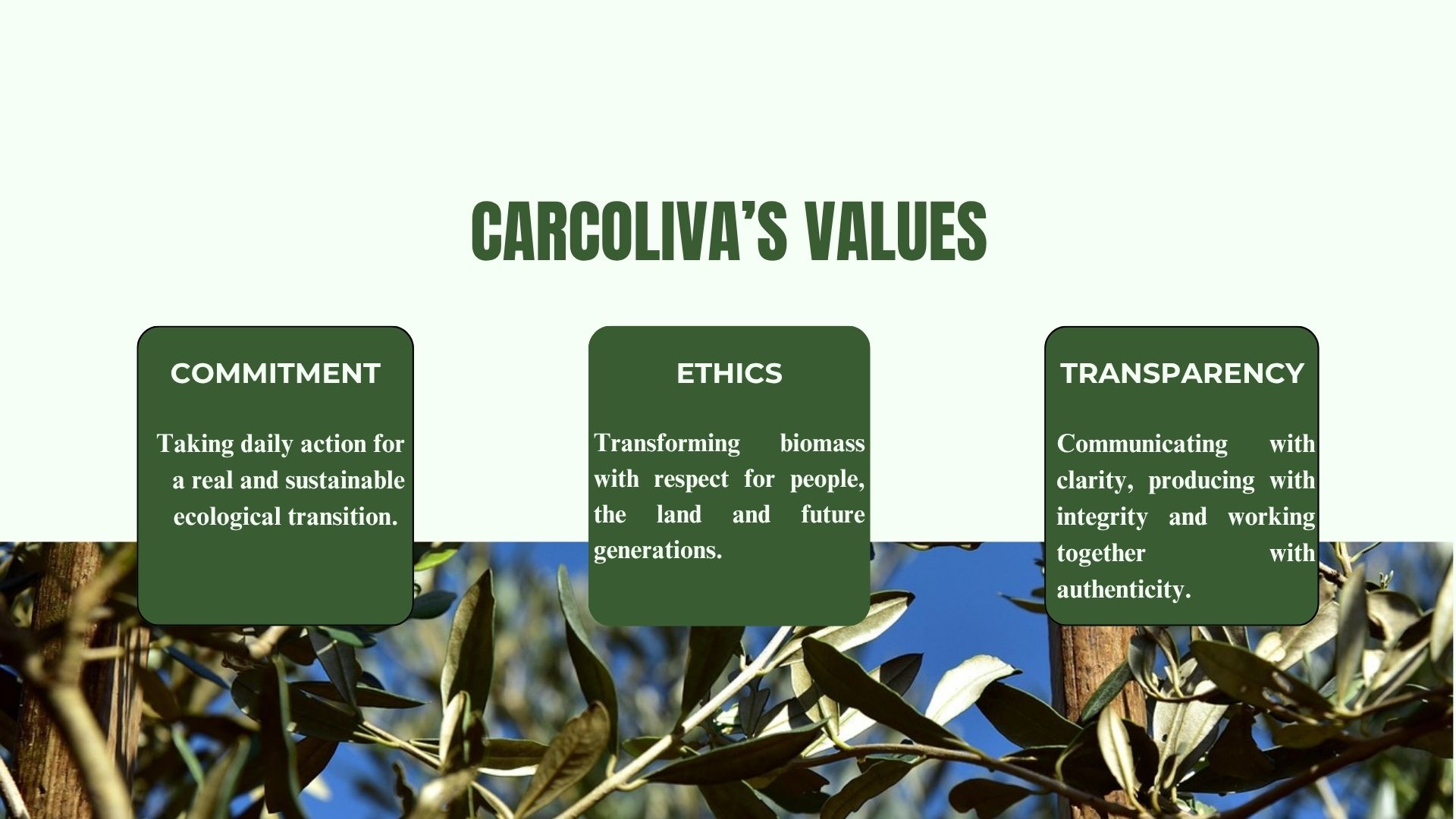 Values
