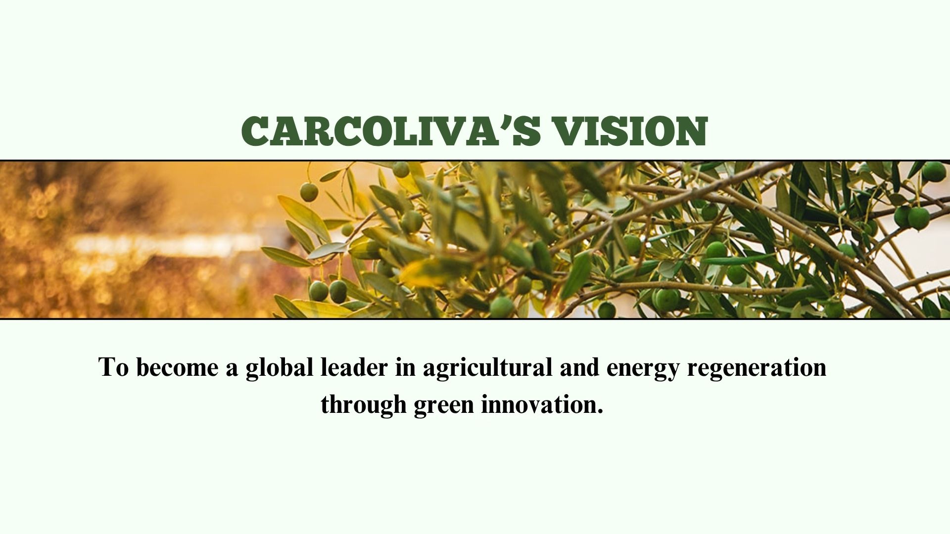 Vision